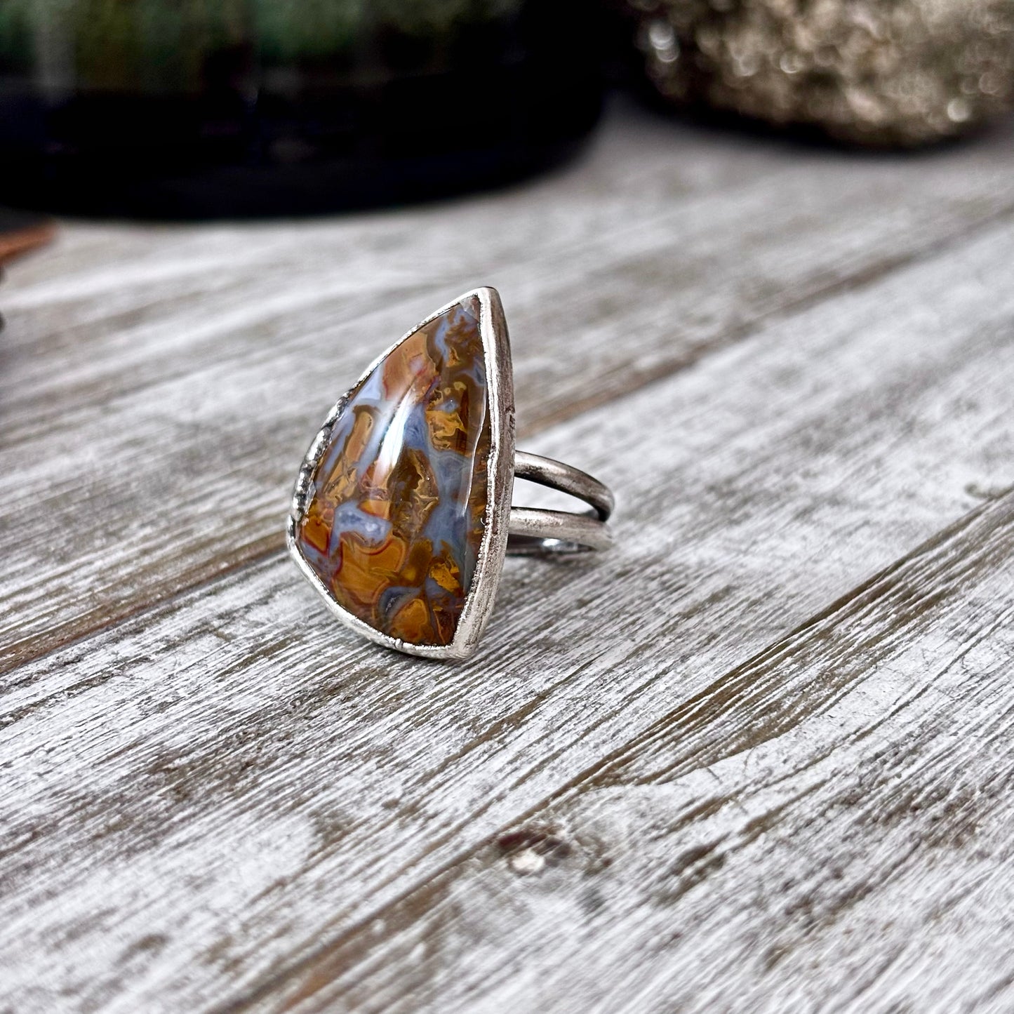 Petrified Wood Ring Size 9 / Foxlark Collection - One of a Kind