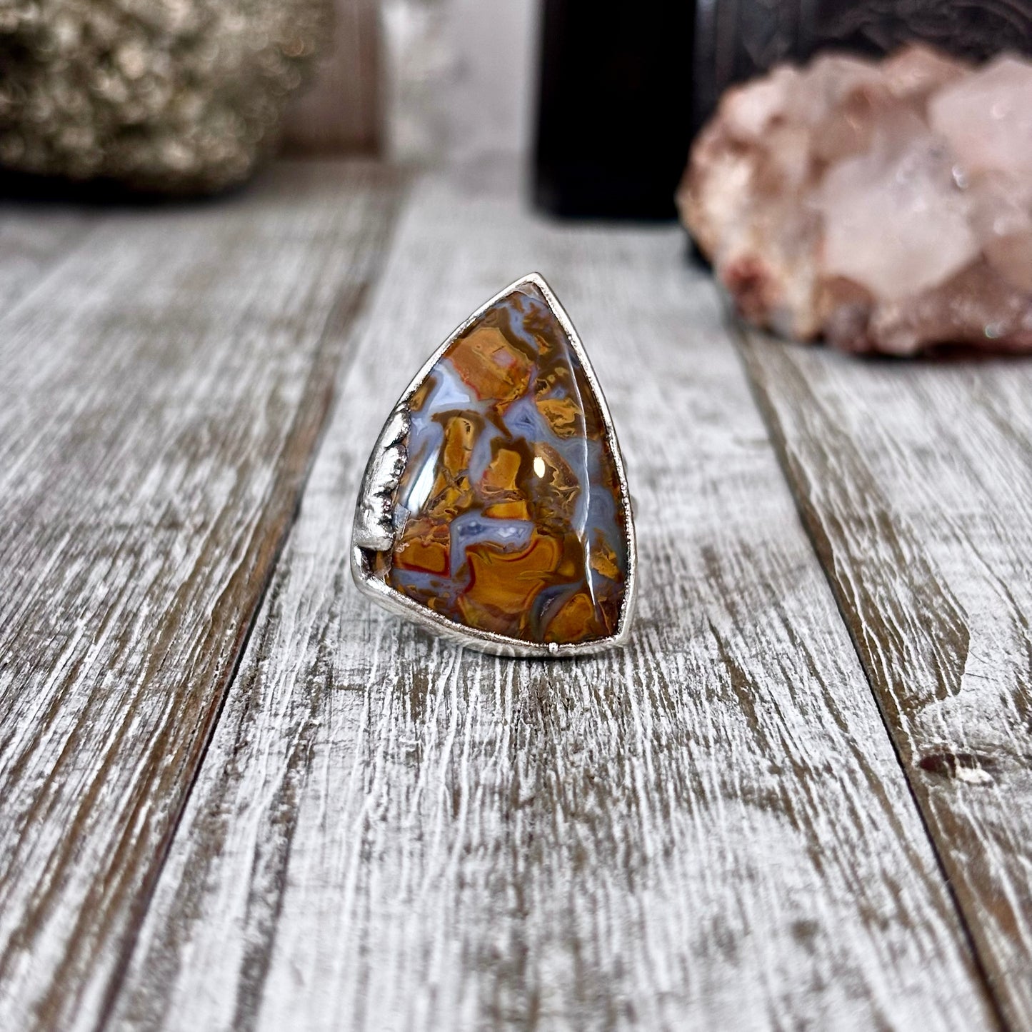 Petrified Wood Ring Size 9 / Foxlark Collection - One of a Kind