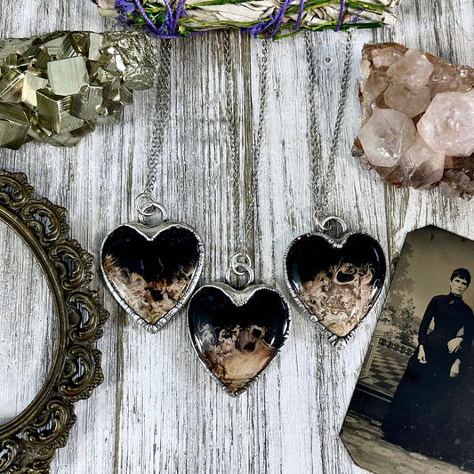 Fossilized Palm Root Heart Necklace in Fine Silver  / Foxlark Collection - One of a Kind.
