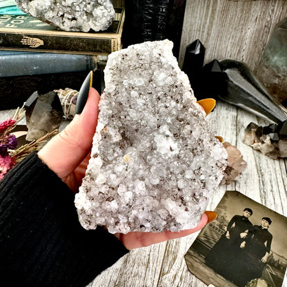 Large Self Standing Druzy Amethyst Geode Crystal Cluster / FoxlarkCrystals