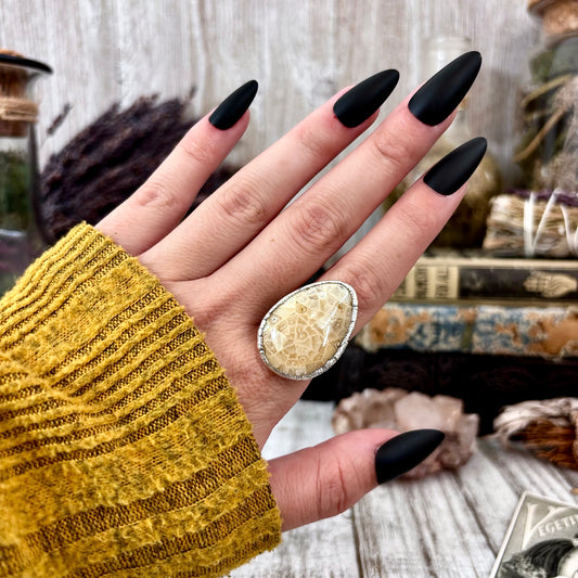 Fossilized Coral Ring Silver Size 7/ Foxlark Collection - One of a Kind