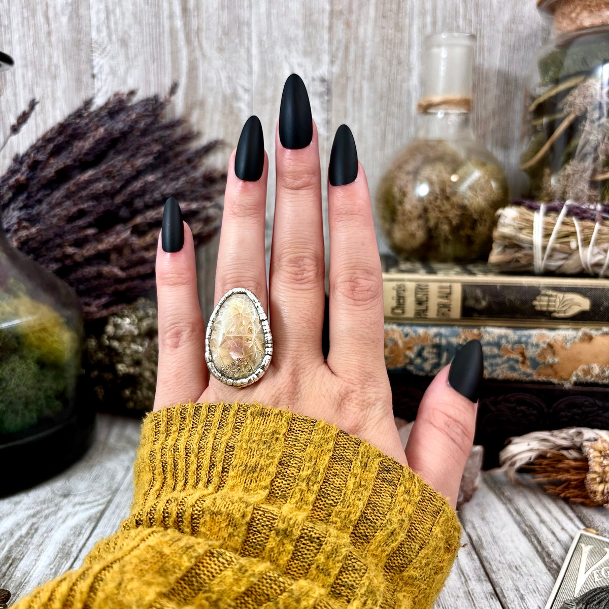 Fossilized coral silver ring from FOXLARK Foxlark Collection, size 5.5, featuring unique fossilized coral design on a silver band.