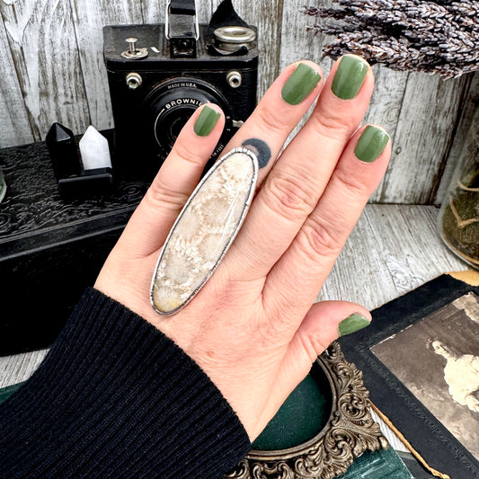 The Colossal Collection - Fossilized Coral Ring Fine Silver Size 8 / One of a Kind