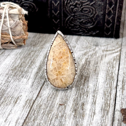 Fossilized Coral Crystal Ring Fine Silver Size 8 / Foxlark Collection - One of a Kind