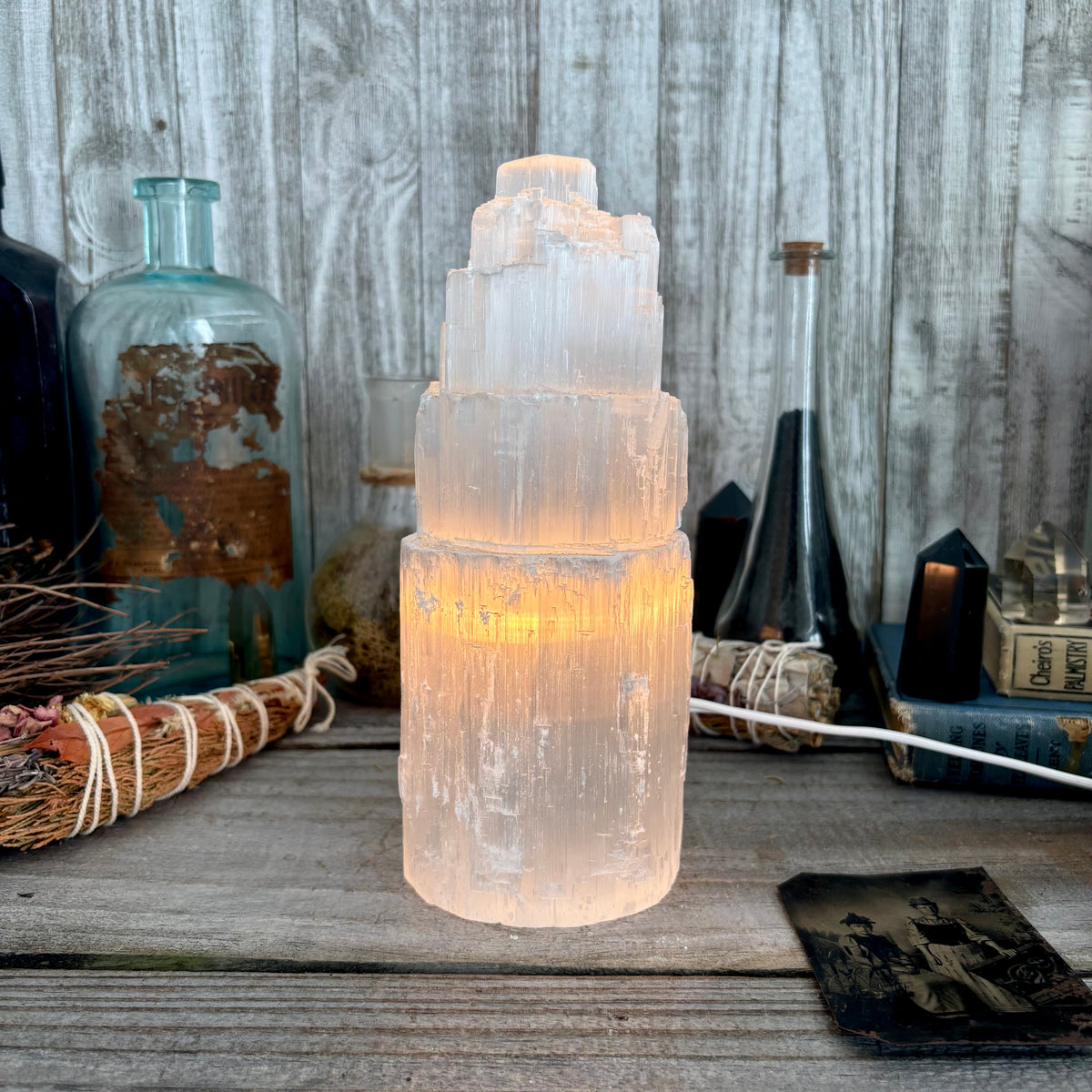 Large Self Standing Selenite Crystal Lamp/ FoxlarkCrystals