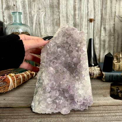 Large Self Standing  Amethyst Geode Crystal Cluster / FoxlarkCrystals