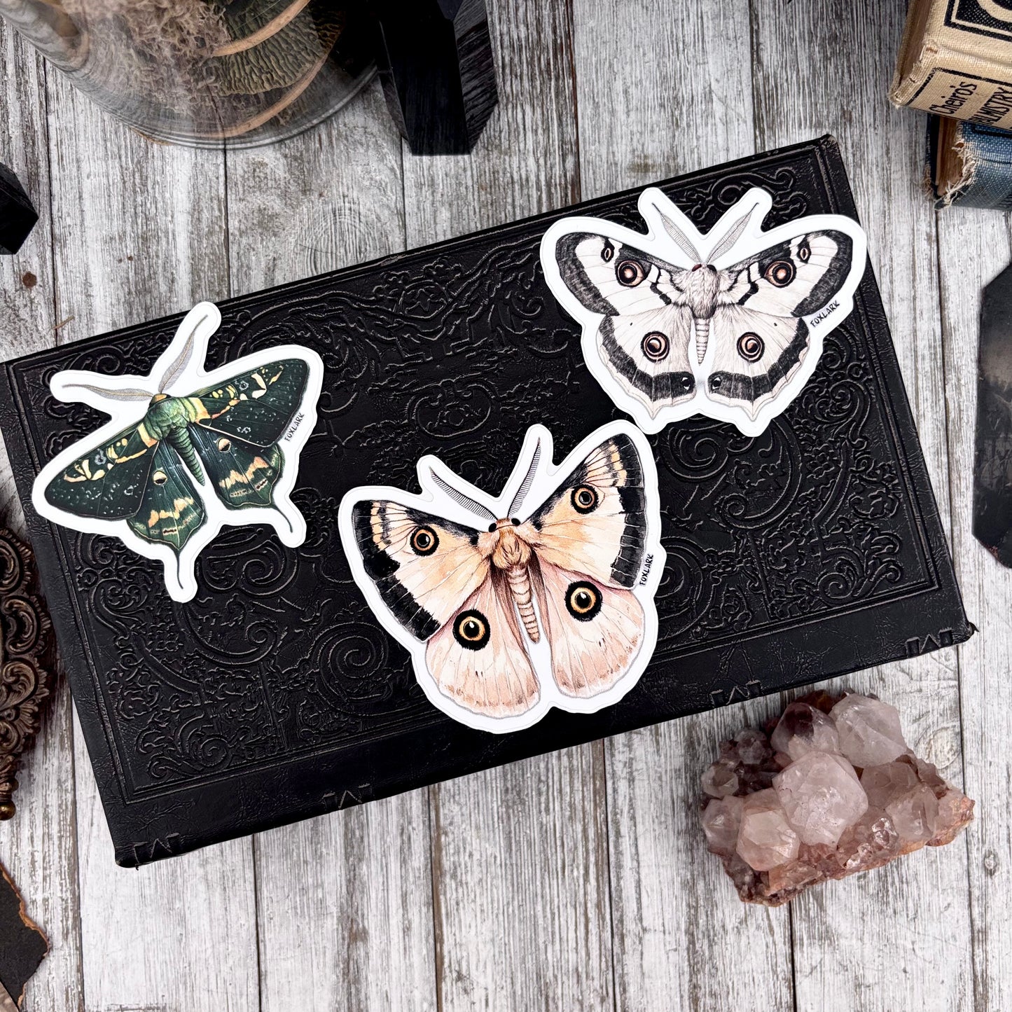 Moth Sticker Set