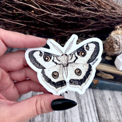 Moth Sticker Set