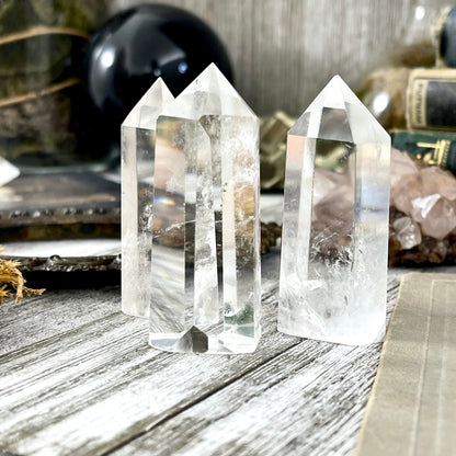 Self Standing Clear Quartz Crystal Point / FoxlarkCrystals