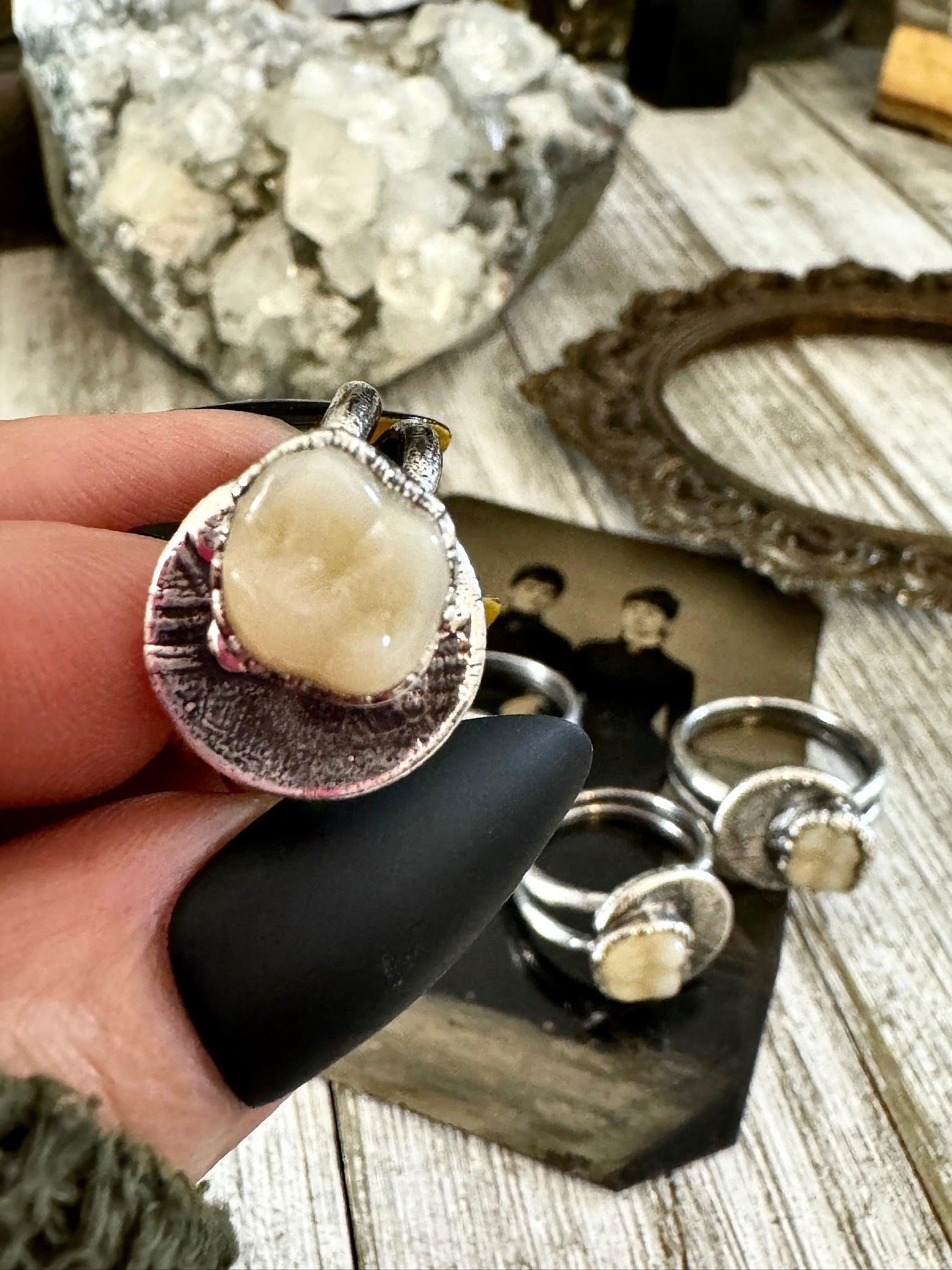 Tooth Ring Silver Size 7 8 9 10 11 Faux Resin Tooth Jewelry / Foxlark Collection