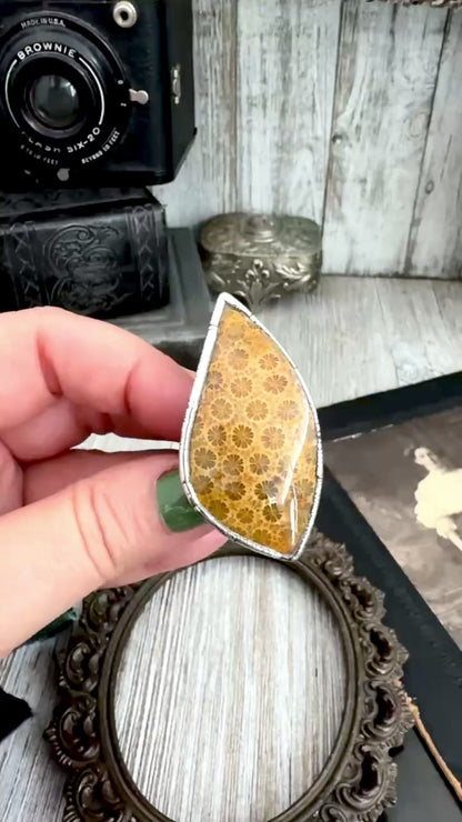 The Colossal Collection - Fossilized Coral Crystal Ring Fine Silver Size 7 / Foxlark Collection - One of a Kind