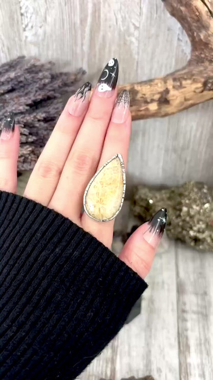 Fossilized Coral Crystal Ring Fine Silver Size 8 / Foxlark Collection - One of a Kind